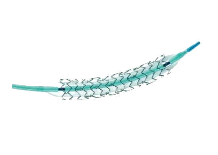 PERCUTANEOUS CORONARY INTERVENTION Firebird Product 2 1